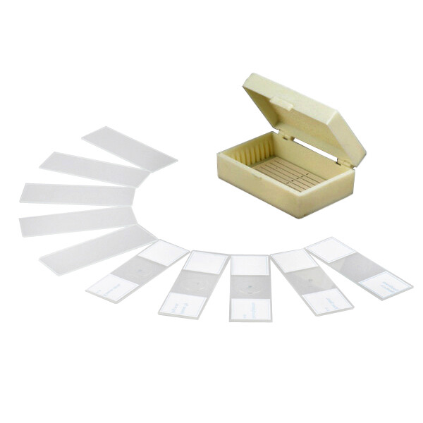 AmScope PB10 10 Prepared & Blank Microscope Glass Slides