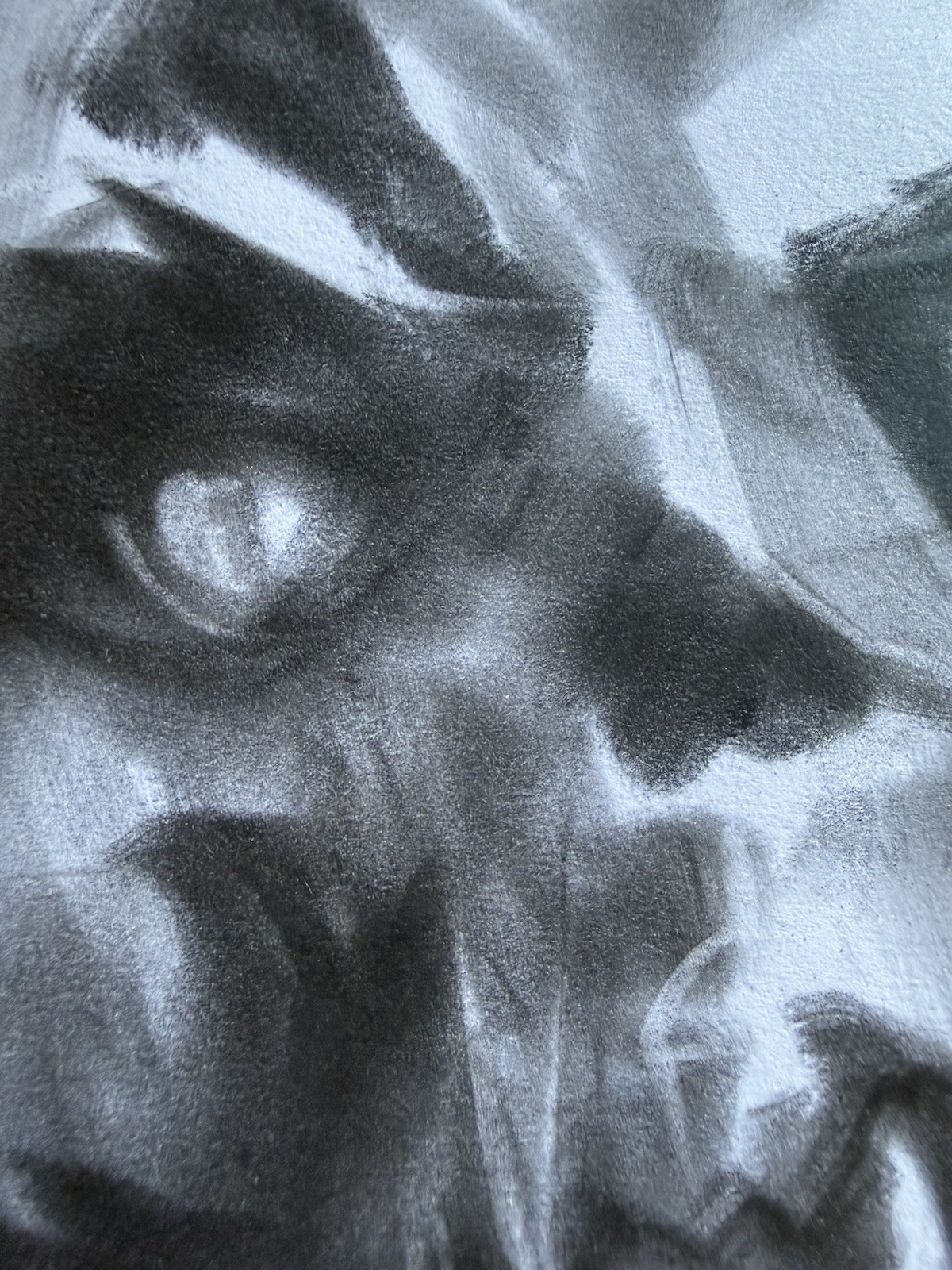 Dark Surreal Skull Original Soft Pastel Drawing Gothic Horror Art 9”x12”