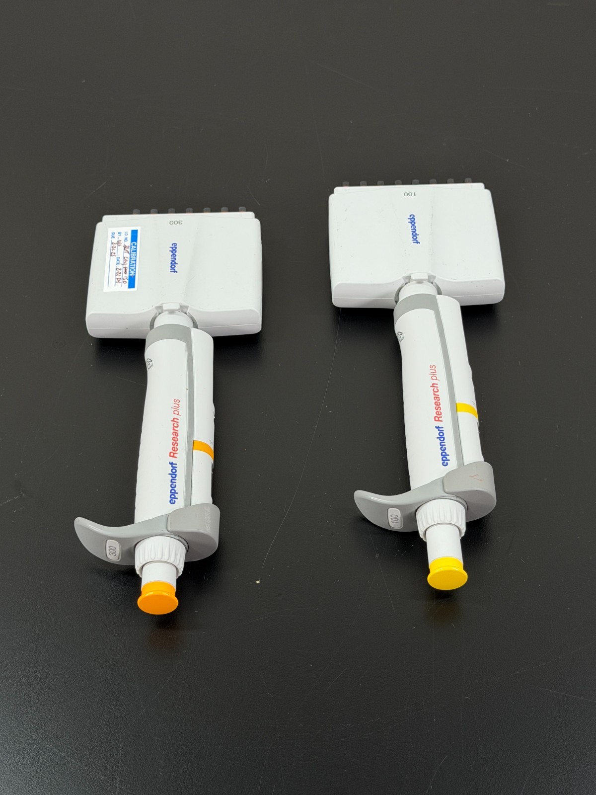 2x Eppendorf Research Plus 30-300uL Pipette 8 Channel