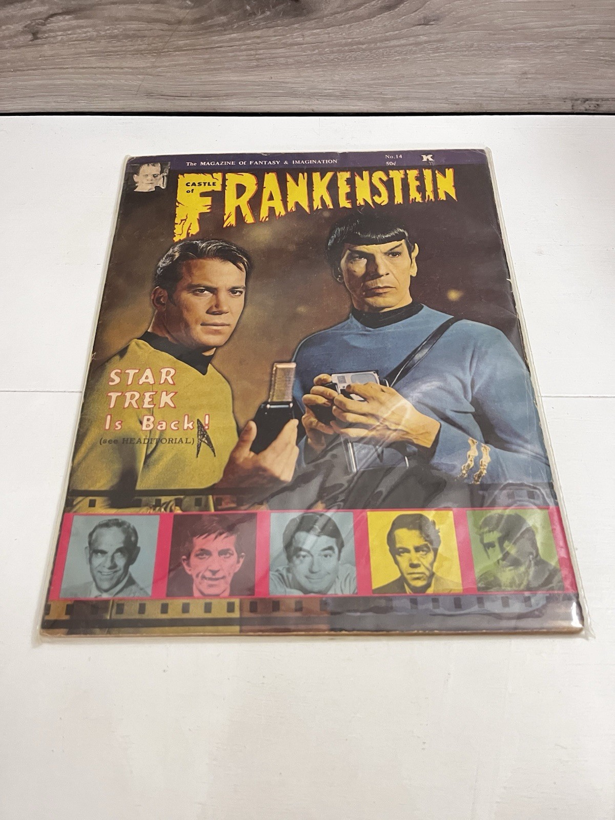 THE MAGAZINE OF FANTASY/IMAGINATION-CASTLE OF FRANKENSTEIN 1969 #14 Star Trek
