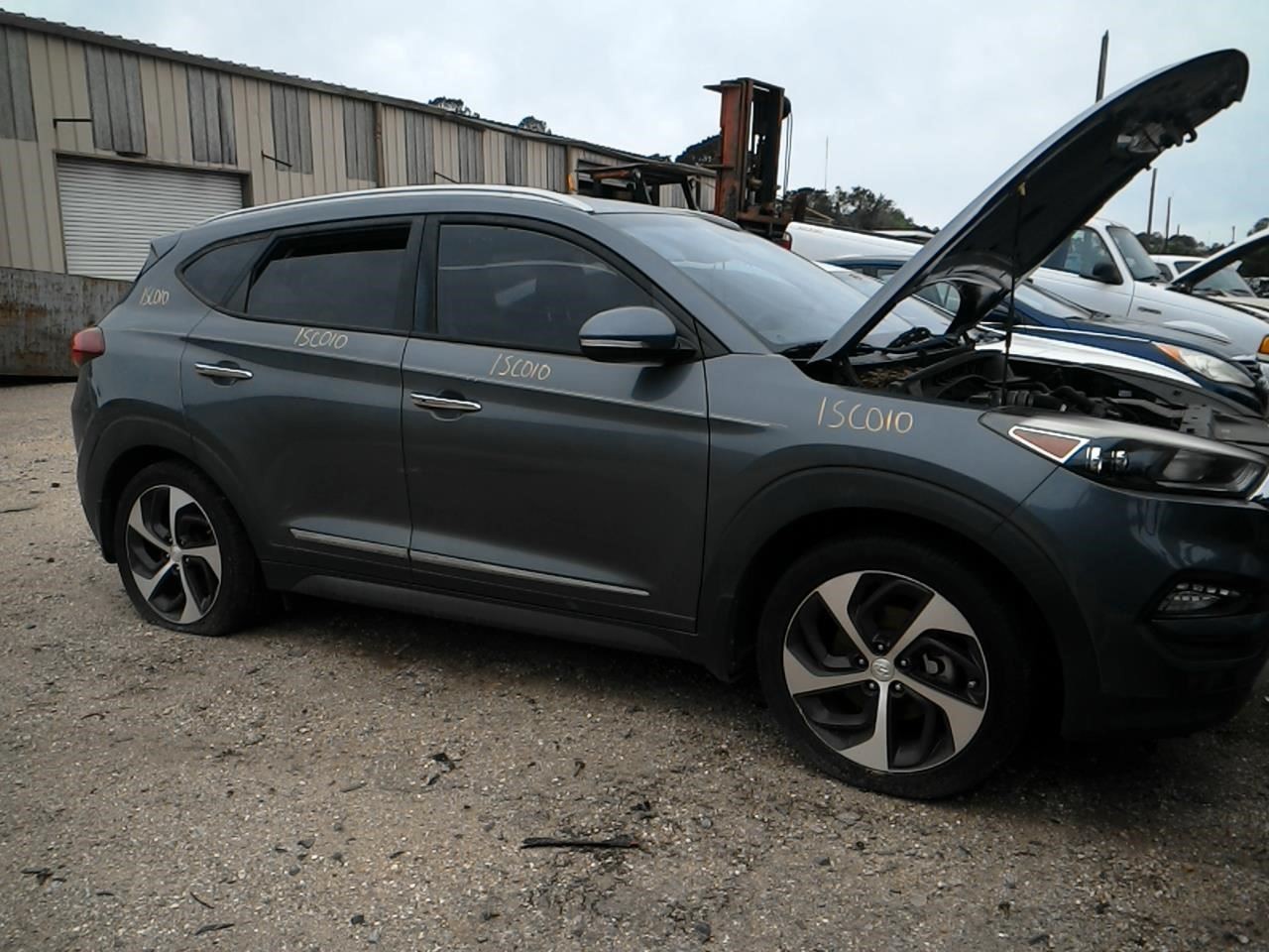 TUCSON 2016 Horn 104971855