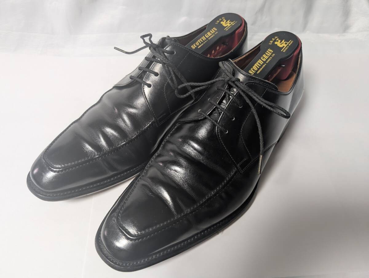 Scotch Grain SCOTCH GRAIN Odessa U tip size 25 width E includes official shoe tr