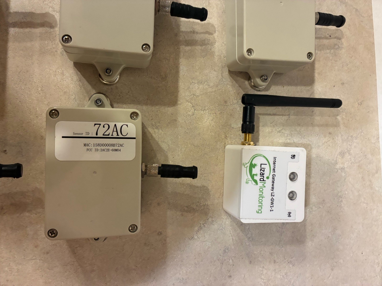 Lizard Monitoring Temperature System