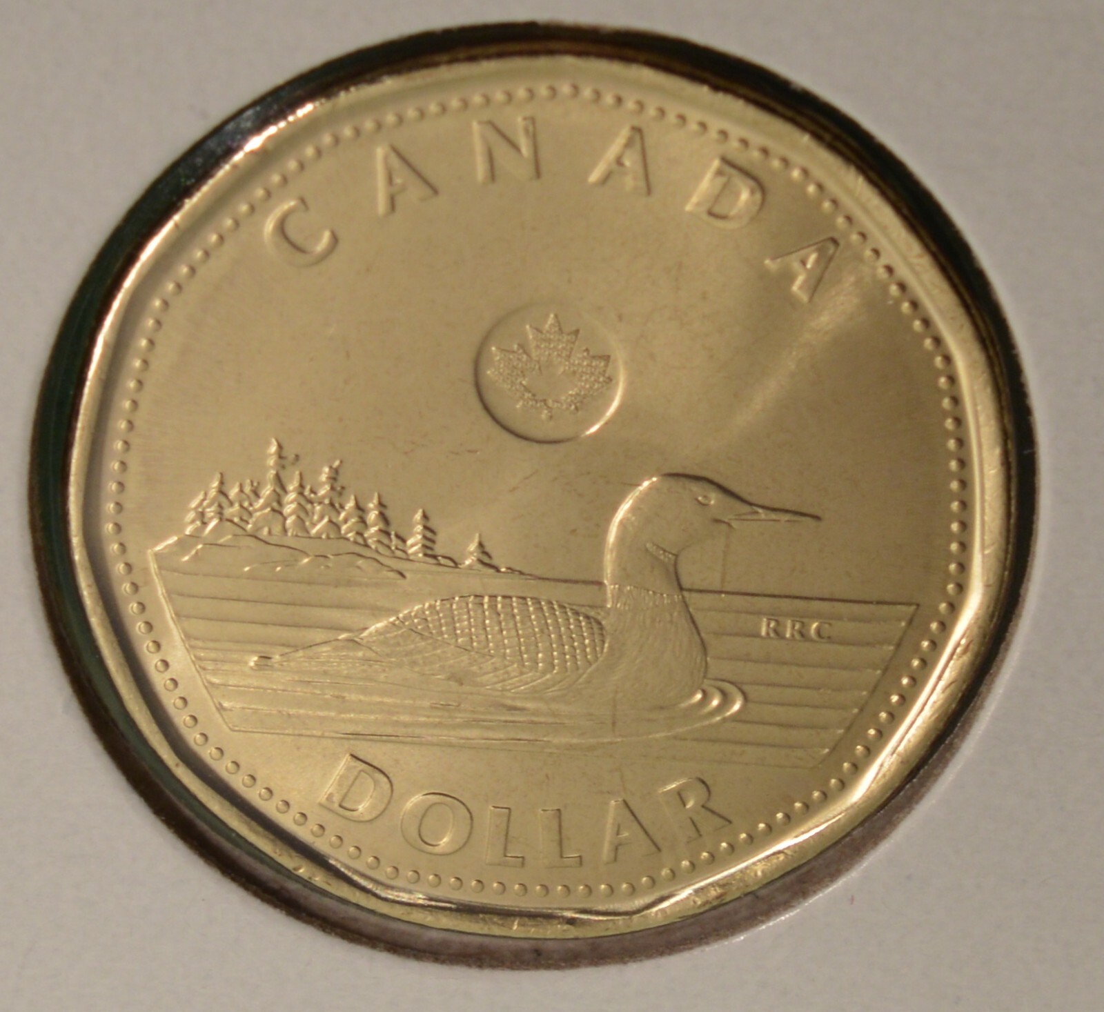 2024 Canada 1$ Dollar - Loonie -  Regular Loon - BU UNC - King Charles -  🇨🇦