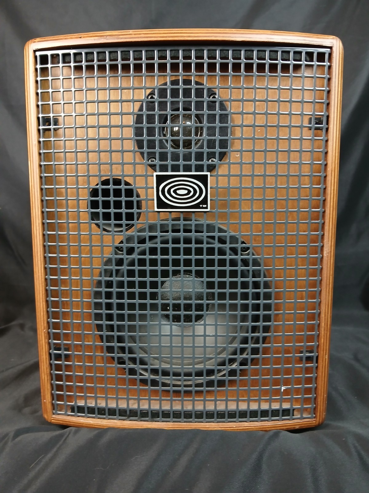 Schertler Amp JAM 100 Watt Professional Wood Acoustic Amplifier Made In Italy