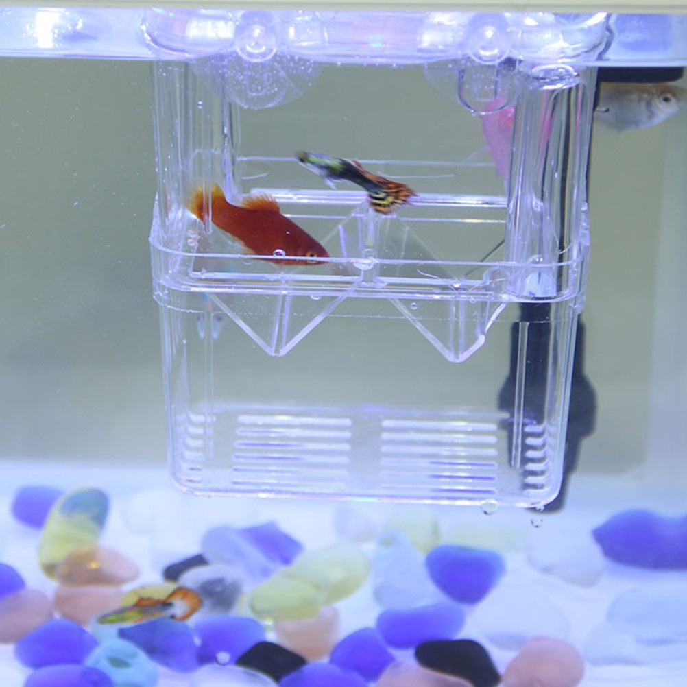 Fish Incubator Aquarium Box Egg Incubators for Hatching Accessories