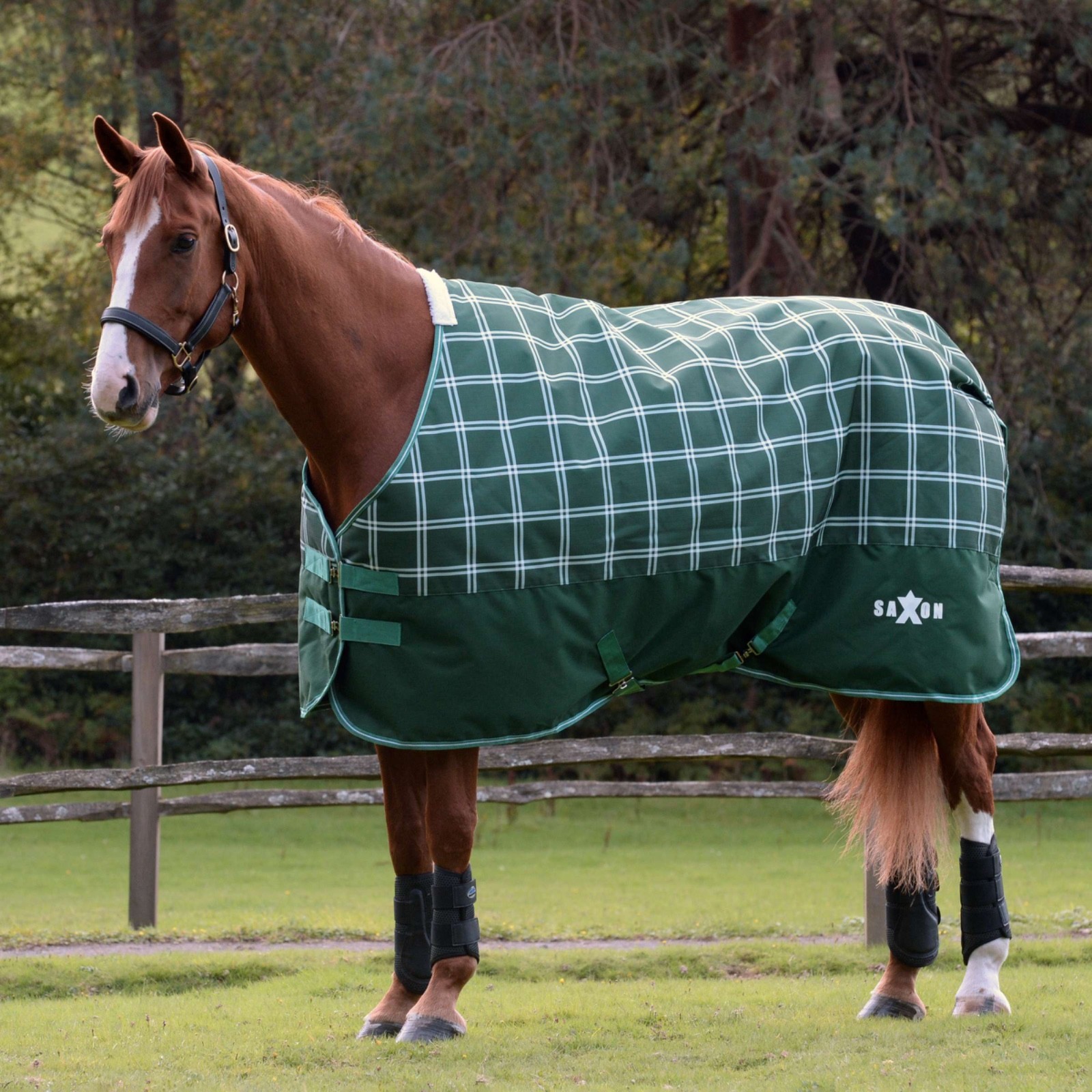 Saxon Horse coat Defiant 1200D Medium 72in