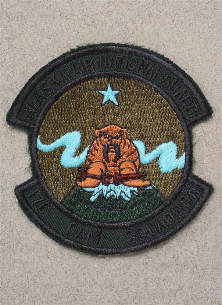 USAF Air Force Patch: 176th Consolidated Aircraft Maintenance Sq - subdued 4008