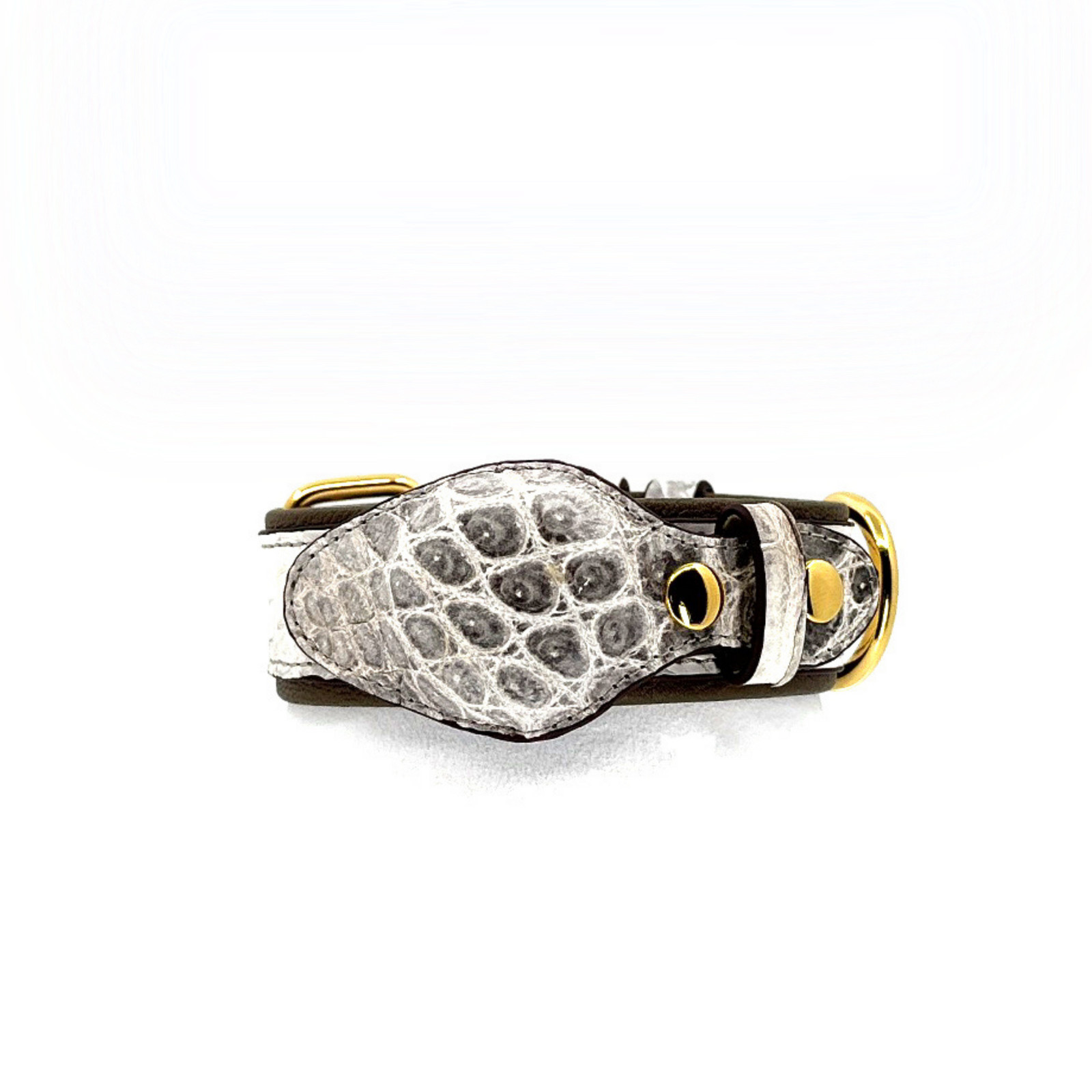 Himalayan Snow Crocodile Tracker Collar
