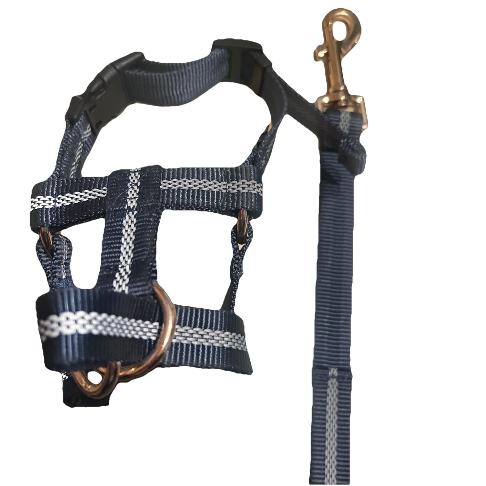 Barkless Headcollar Seatbelt Small🐶🐶🐶🐶🐶