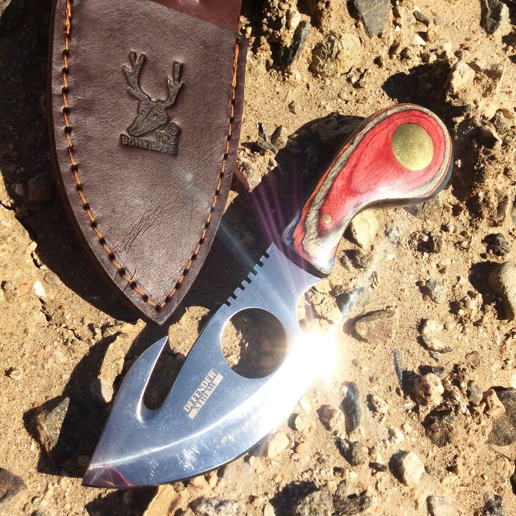 7" Full Tang Stainless Steel Sharp Skinner Knife with Real Leather Sheath Gut H