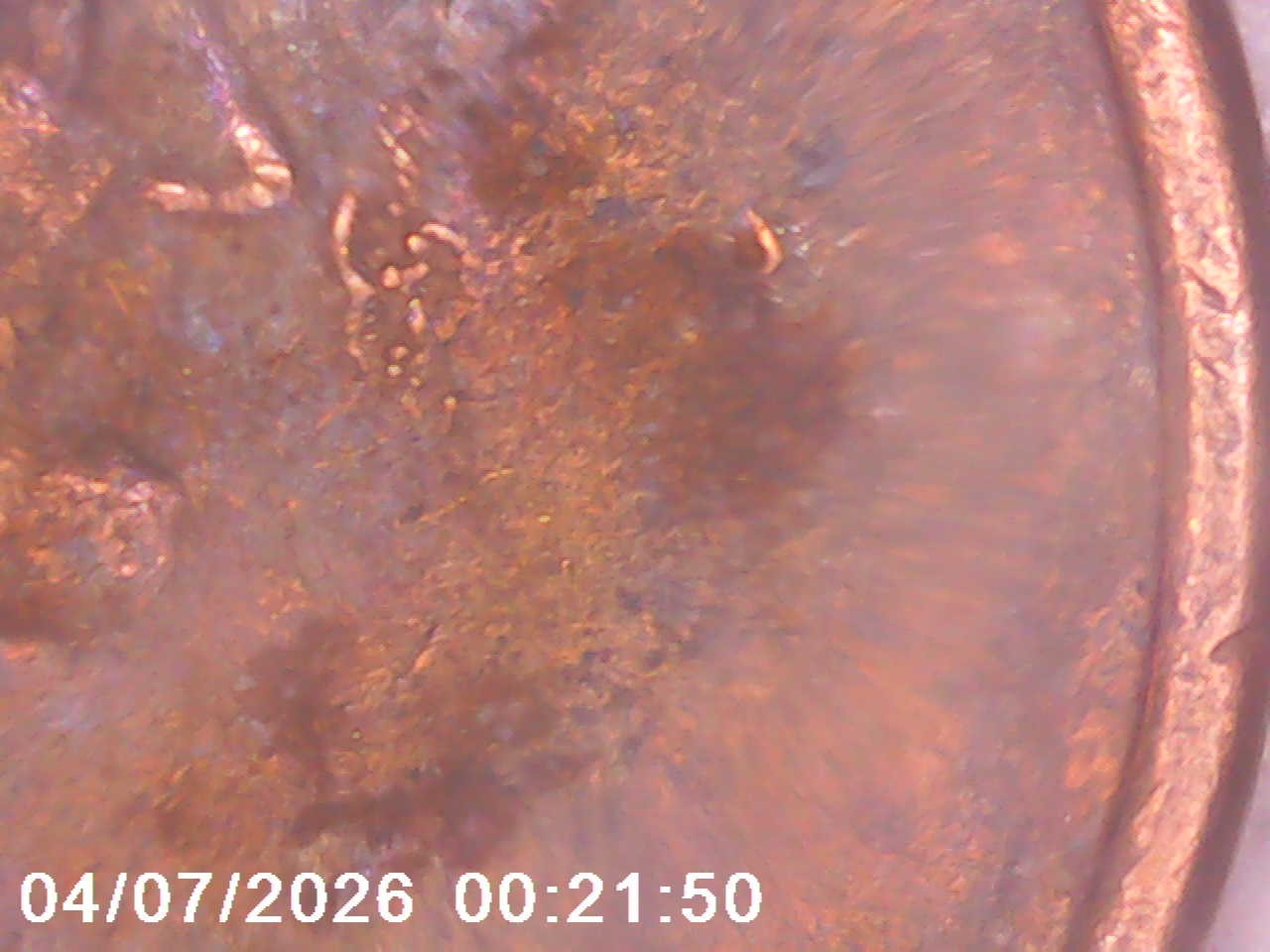 1982-P Lincoln Cent Reverse Error No Initials