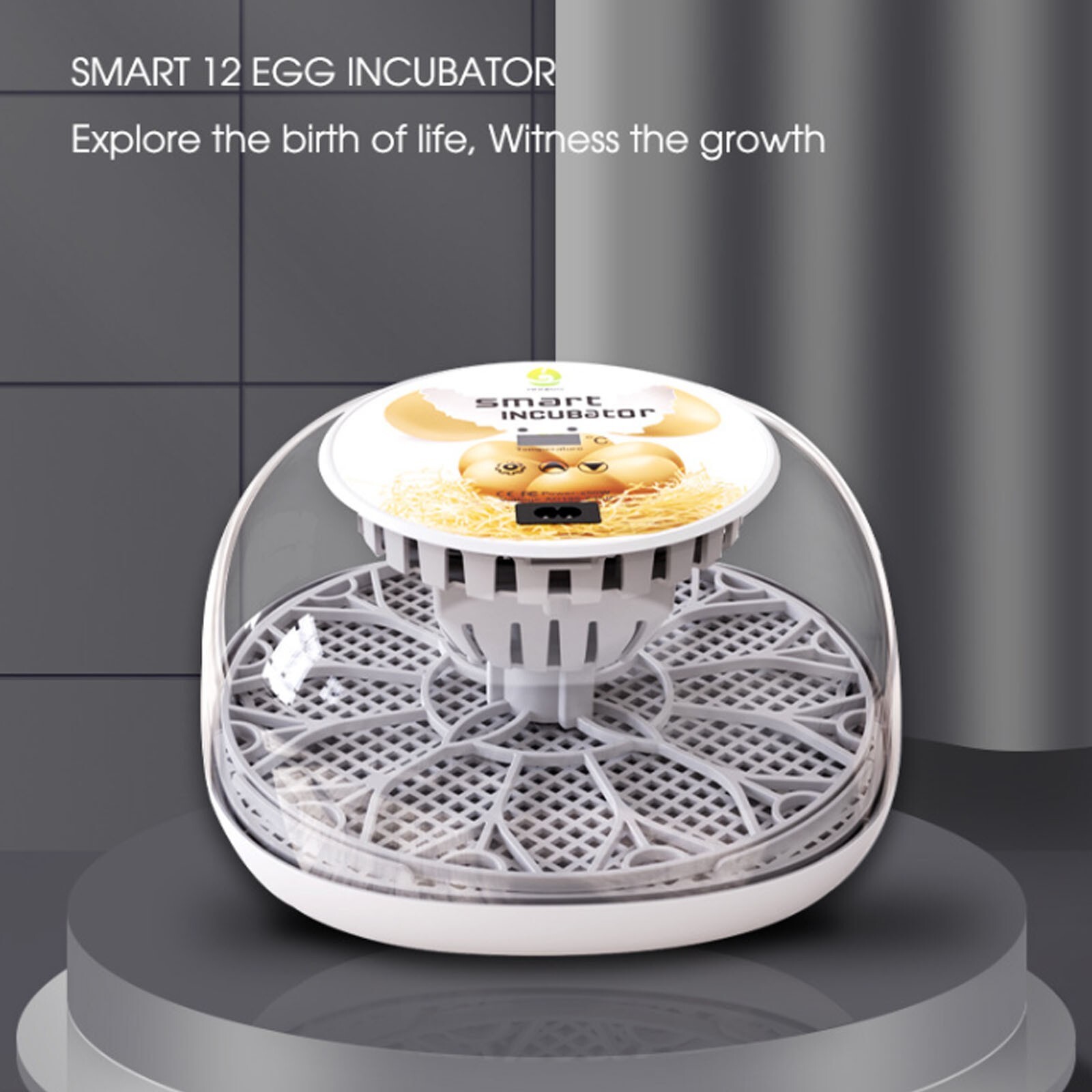 Incubator 12 eggs digital bird chicken duck goose quail incubator family gift