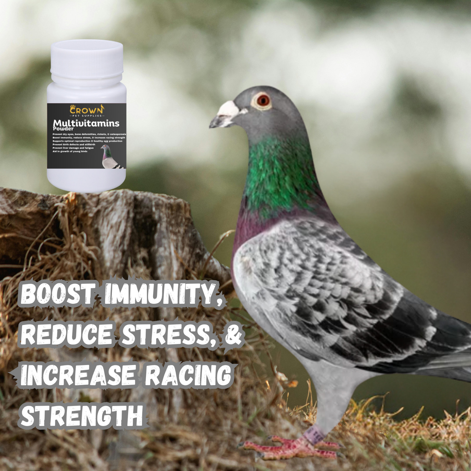 Multivitamins, Growth & Immunity, Prevent Eggs Failure, Strength For Pigeons