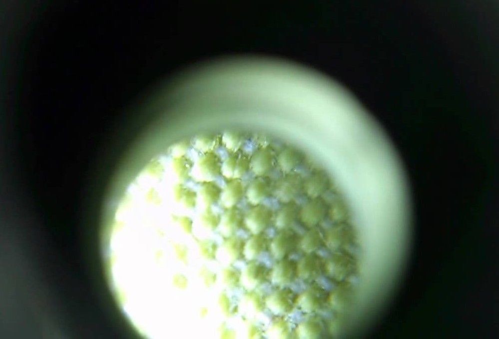 Cell Phone Clip Mini 60X Microscope Adjustable Focus Magnifier LED Stamp Fossil
