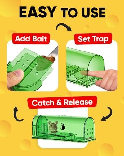 Motel Mouse Humane No Kill Mouse Traps Live Catch & Release - 4 Pack | Kid & ...