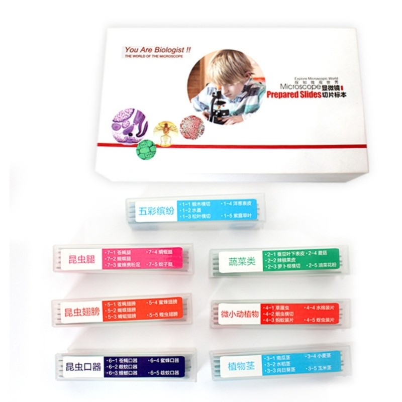 35PCS Biology Microscope Prepared Slides Seven Type for Lab Education