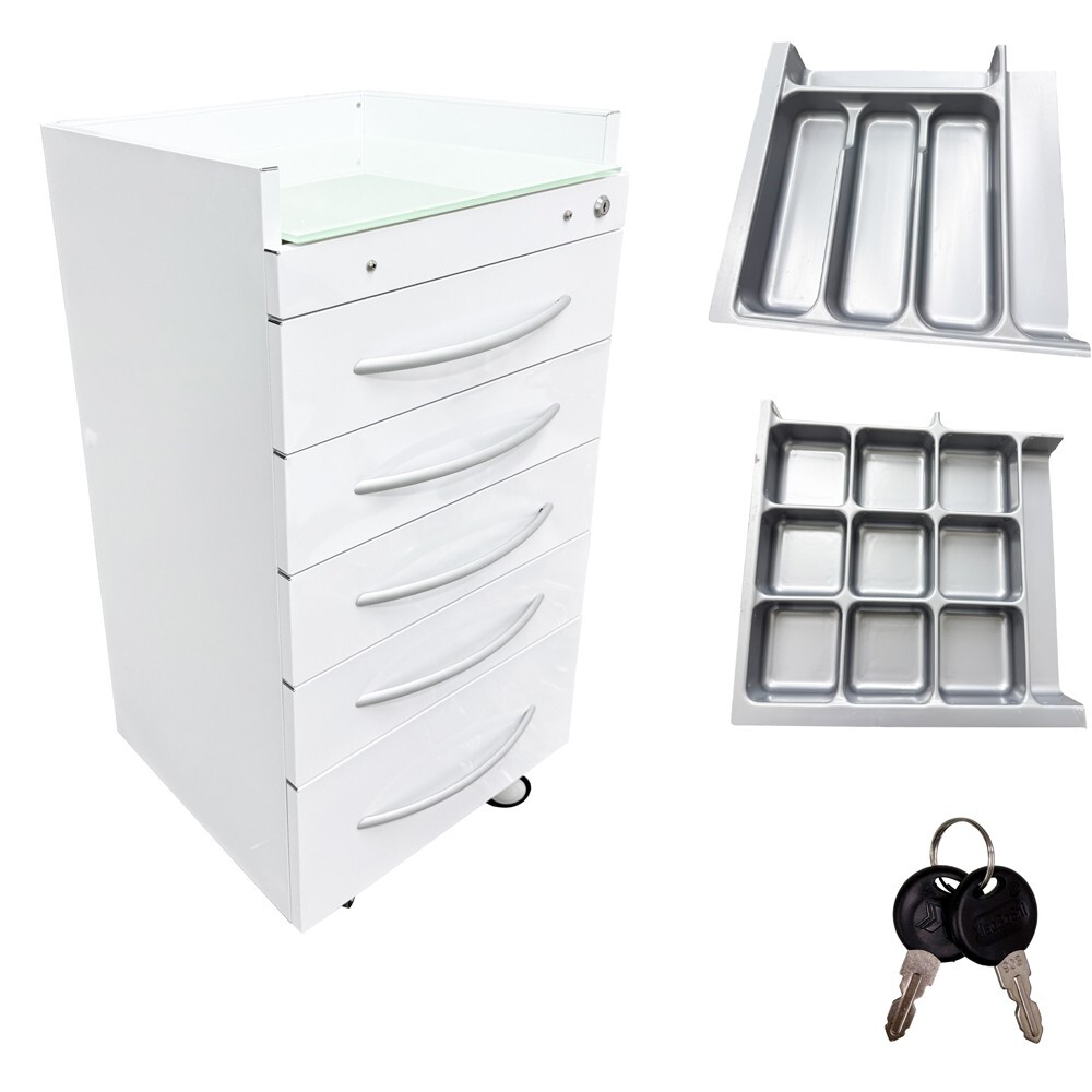 Assistant's Mobile Cabinet 5 Drawers Utility Cart Records Storage Movable