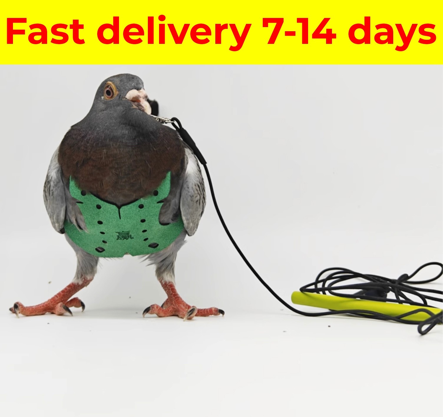 Pigeon Flight Harness with Leash Pet Pigeon Vest for outdoor flying animalRescue