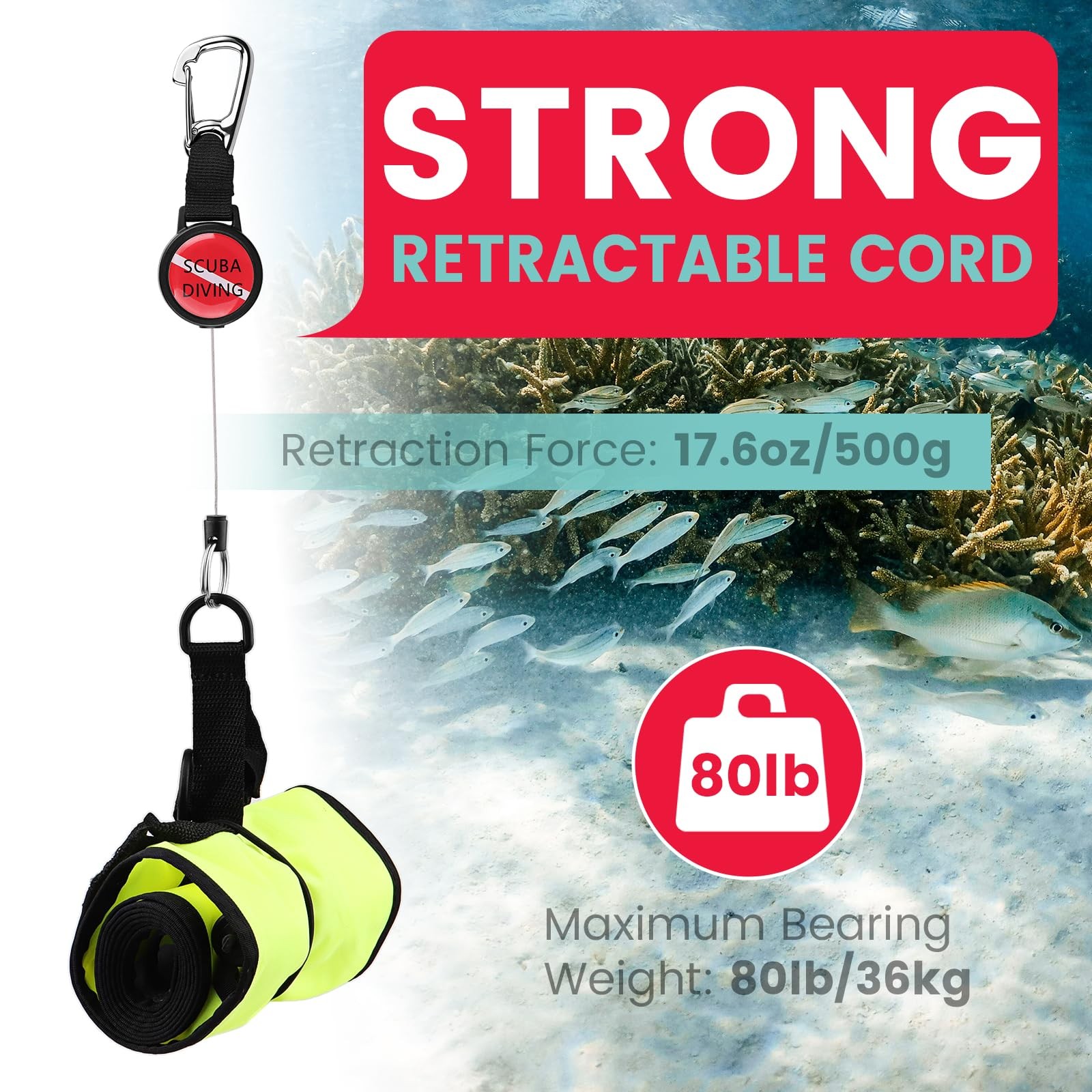 Scuba Diving Retractor, Dive Gear Keeper with 60cm/24'' Retractable Tether