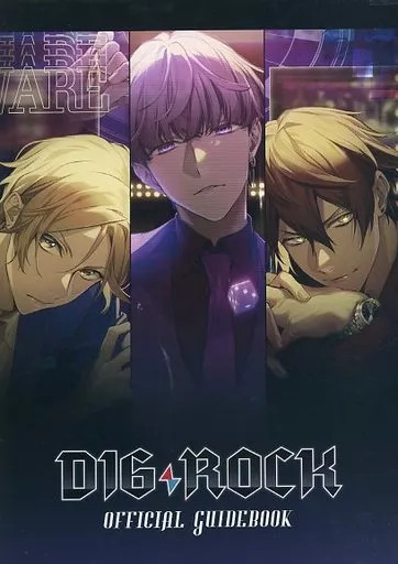 Anime Mook PC Smartphone Game Book D16 Rock Official Guidebook 12P Used