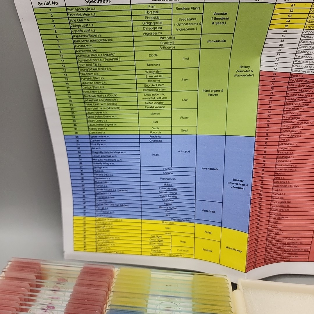 120 Lab-Grade Microscope Slides Set - Prepared Specimens for Kids & Adults, STEM