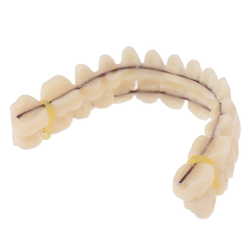 28Pcs Resin Denture False Teeth DIY Upper & Lower Dental Teeth Teaching Model