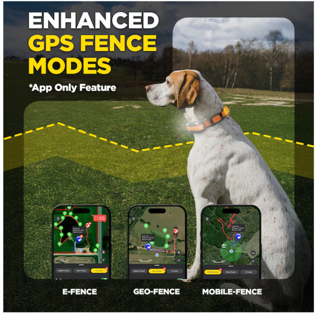 Dogtra Pathfinder2 Mini Compass - Handheld GPS Dog Tracking and Training System