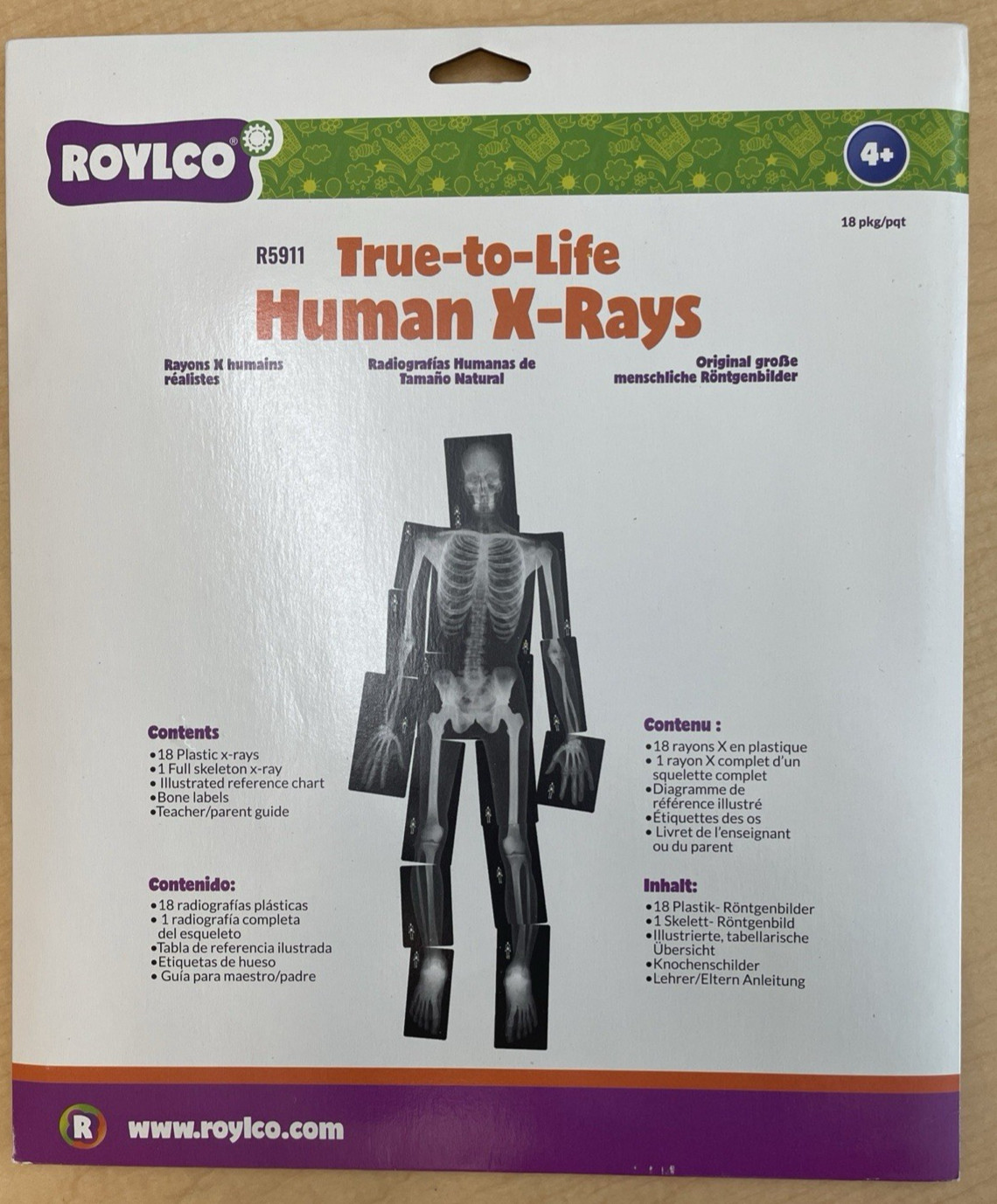 Roylco R5911 True-to-Life Human X-Rays 18pc Set Full Skeleton Science Kit 4+