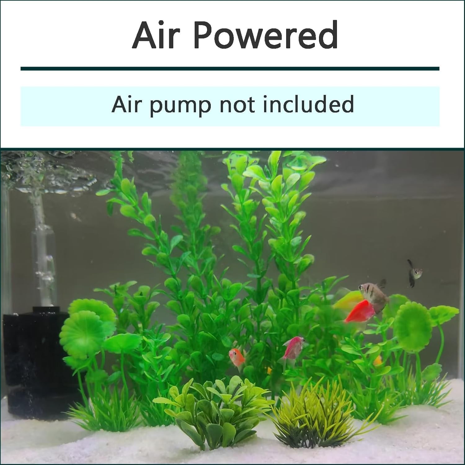 Safe Sponge Filter for Betta & Dwarf Cichlids - Ideal for Small Aquariums