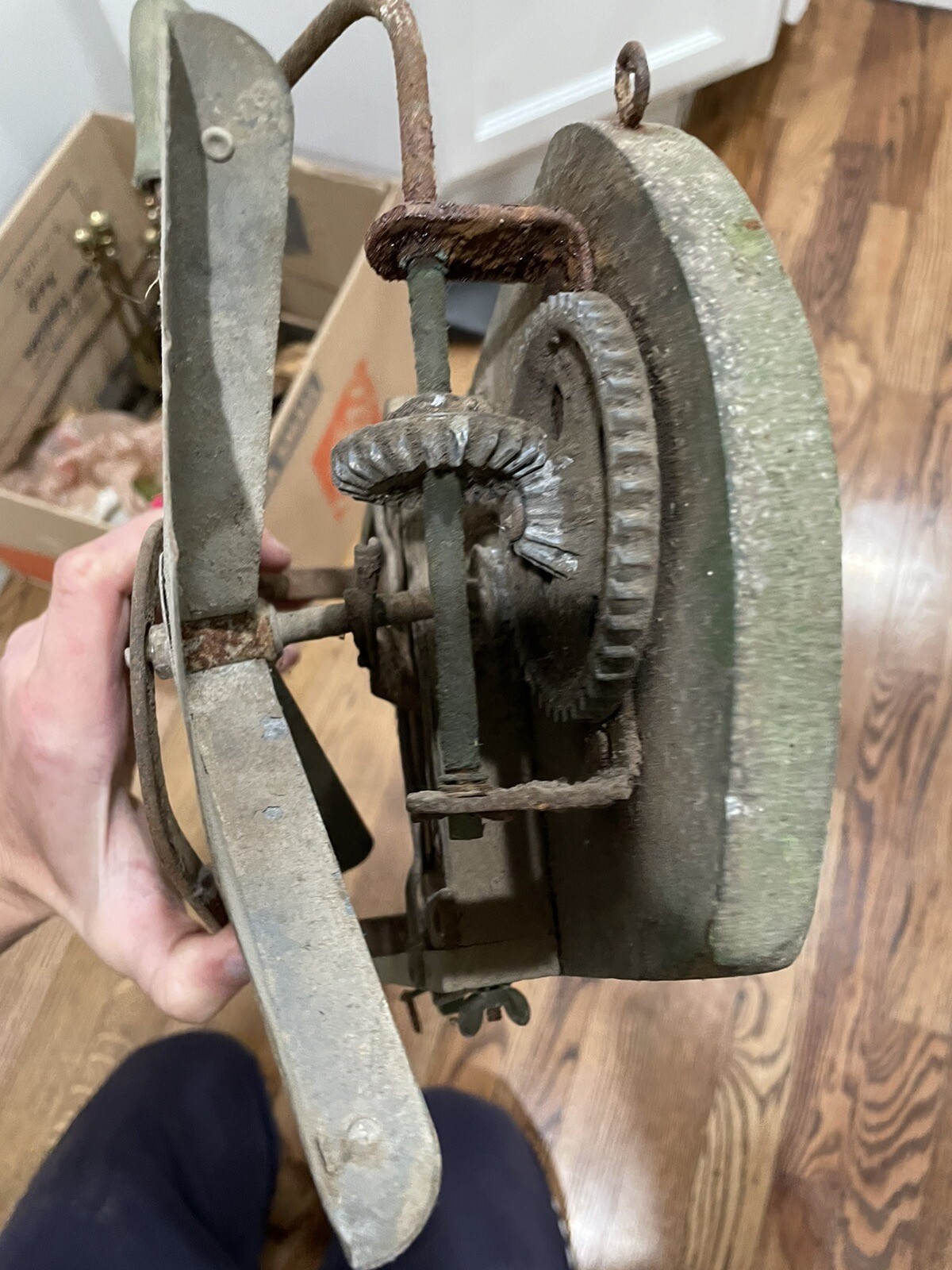 Antique Spreader Seed Sower Green Antique Decor
