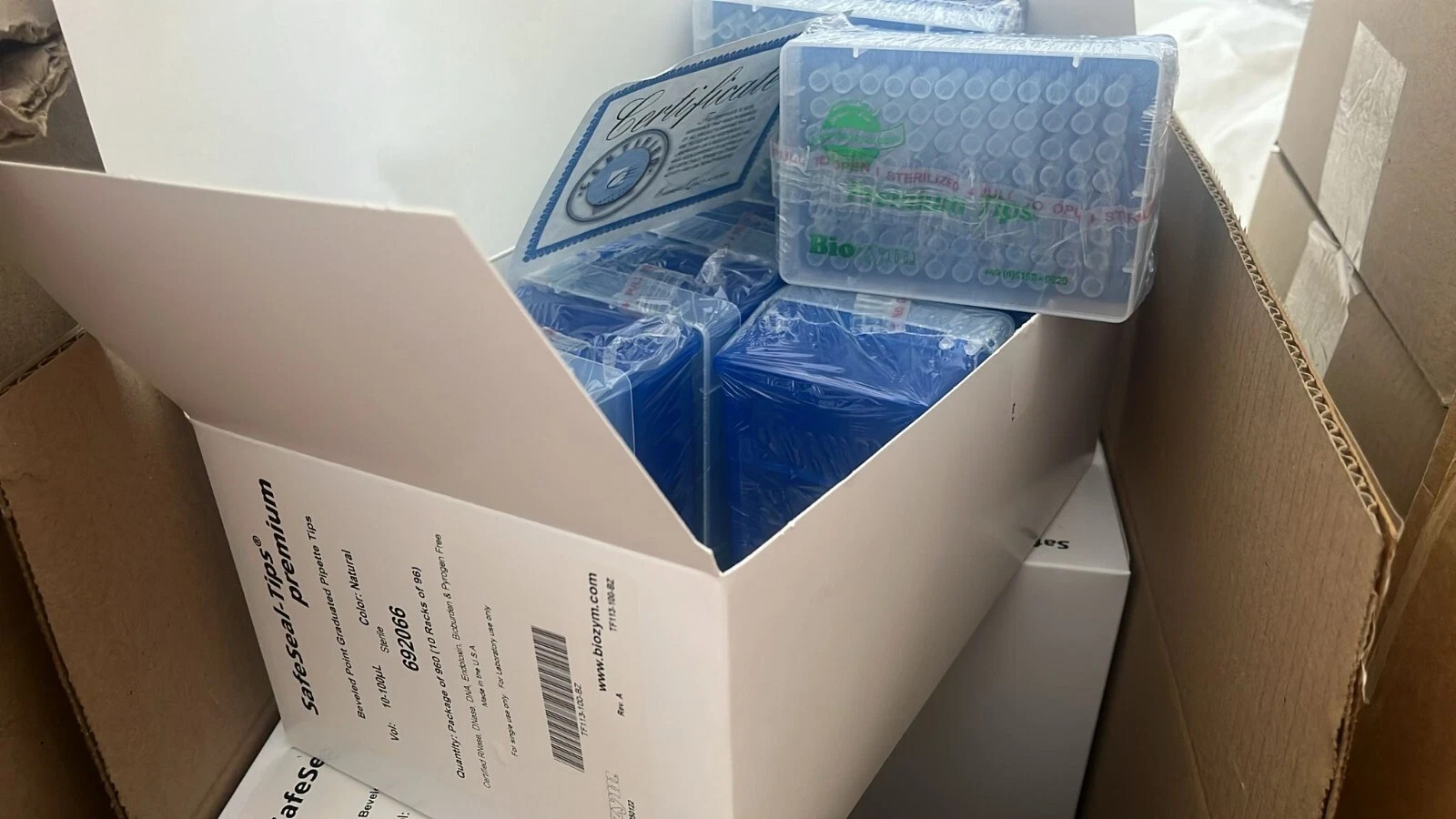 Biozym 10-100 ul Pipette Tips