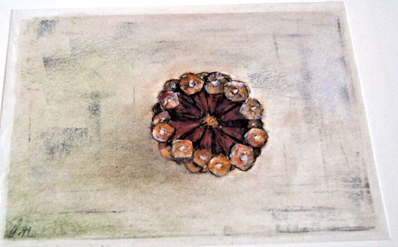 :FRANZ EHMKE *1928 -2018 BERLIN PASTEL STILL LIFE OF A PINE CONE FROM BELOW