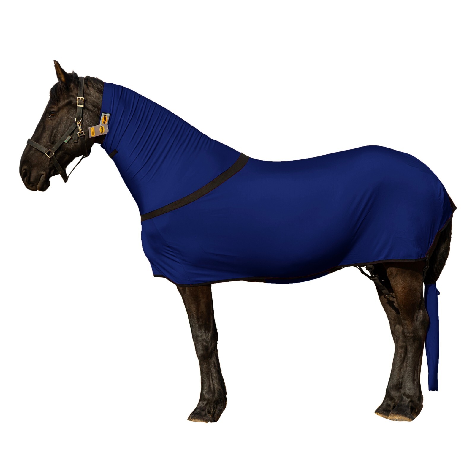 Multi Colors - Premium Horse Full Body Slinky - Full Zipper & Faceless