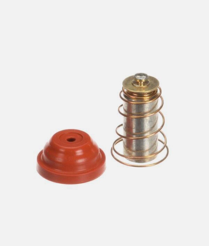 Wilbur Curtis Kit,Valve Repair Use On Inven WC-3766 - Free Shipping + Geniune