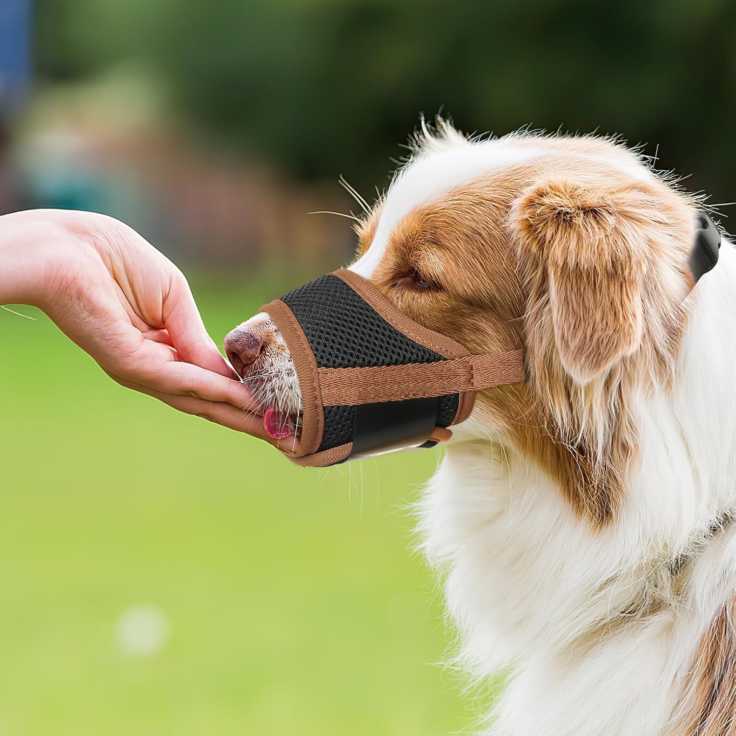 Dog Muzzle Nylon Breathable Adjustable Small Medium Large Anti Biting Barking