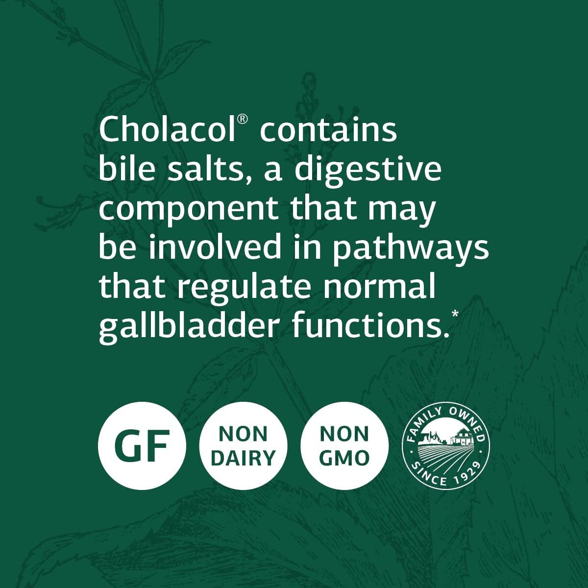 Standard Process Cholacol - Gallbladder Support Supplement - 90 Tablets
