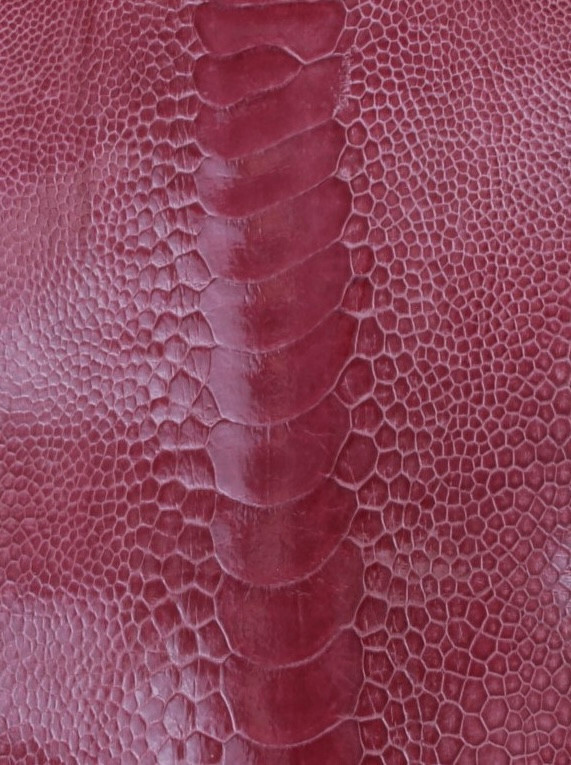 Ostrich Legs Skin Leather Lilac Color GL