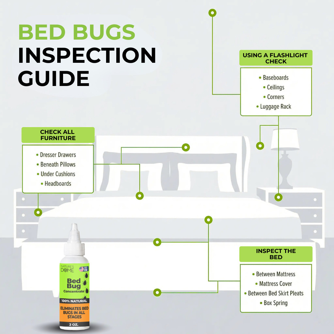 Nature’s Dome Bed Bug Concentrate 2 oz – Makes 16 oz