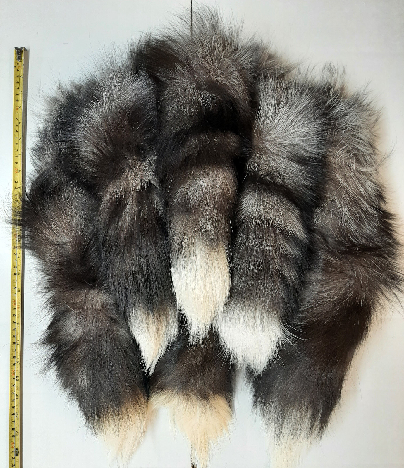 Silver Fox Tail