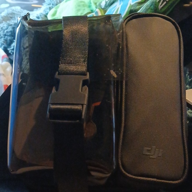 DJI 2 Mini Ready to Fly Camera Drone with DJI Carrying Case