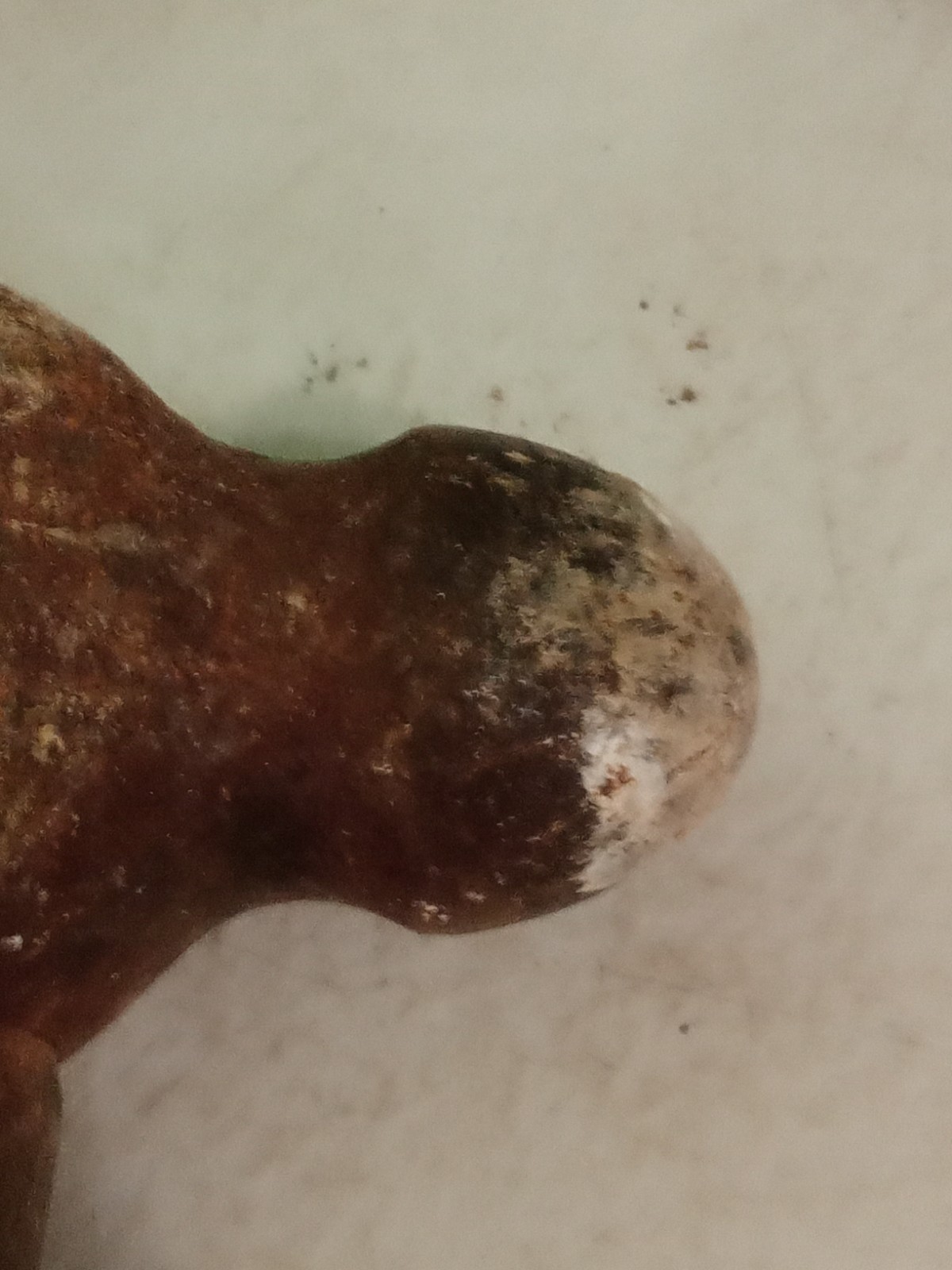 Ball Peen Hammer 3 LB - wood Handle