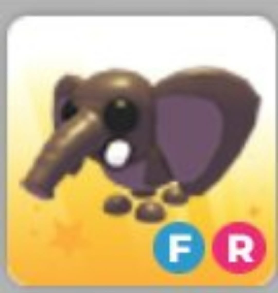 Bush Elephant | NFR | Adopt Now