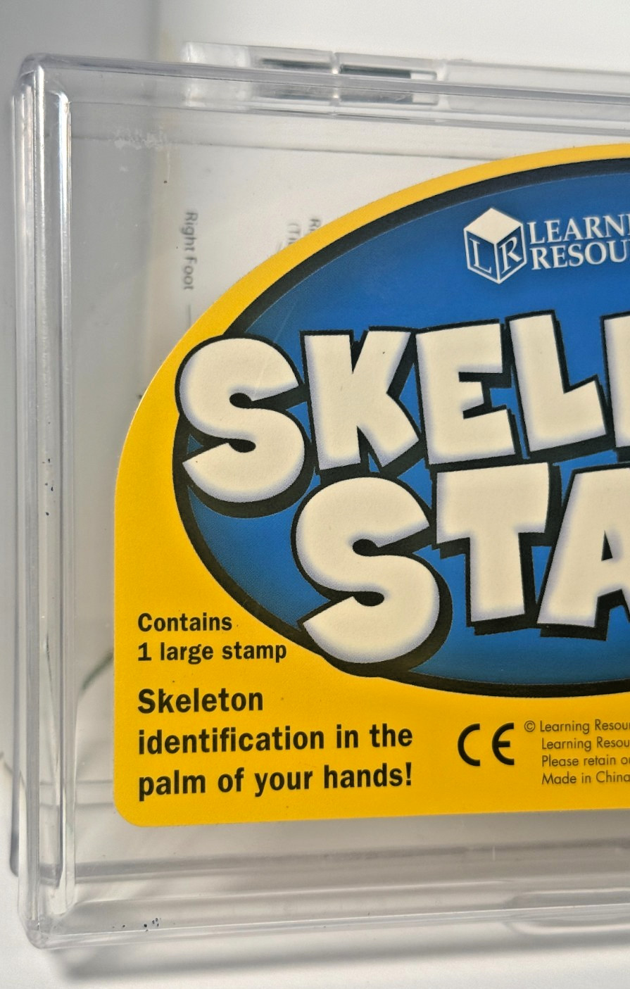 Learning Resources Skeleton Stamp Science Anatomy Classroom Homeschool