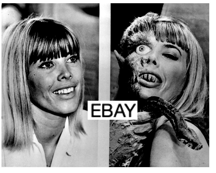 SALE: SHE FREAK 1967 MOVIE PHOTO HORROR FREAKS CARNIVAL NIGHTMARE ALLEY