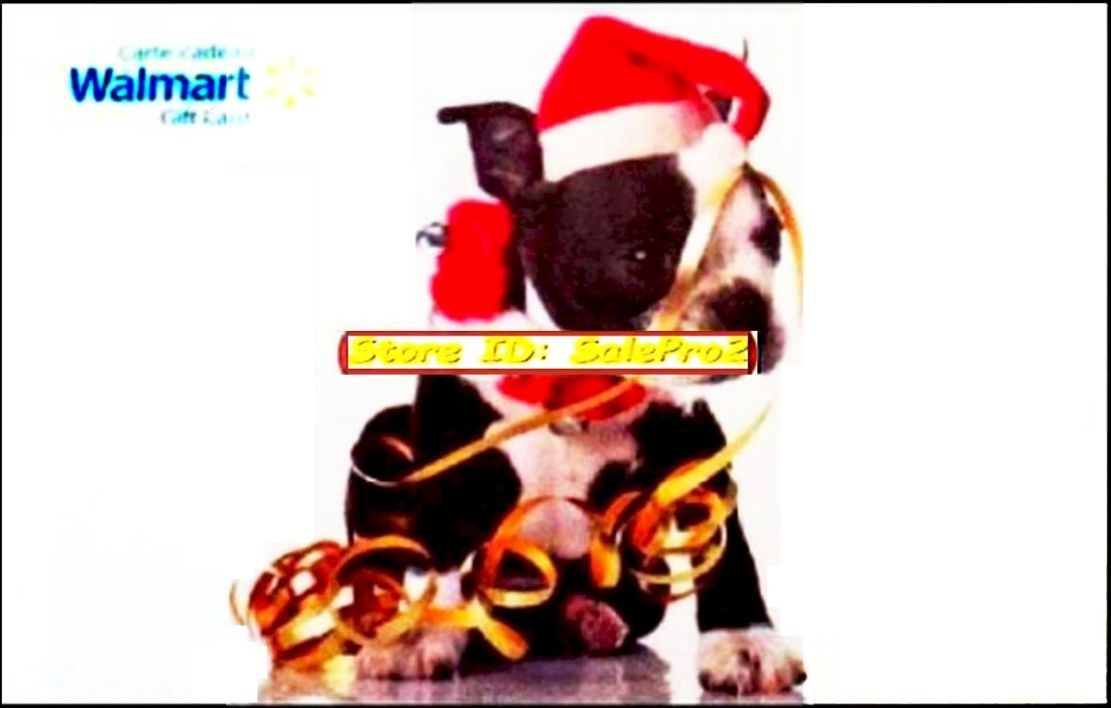 WALMART CHRISTMAS PUPPY DOG BIRTHDAY PARTY X-MAS FR/ENG COLLECTIBLE GIFT CARD