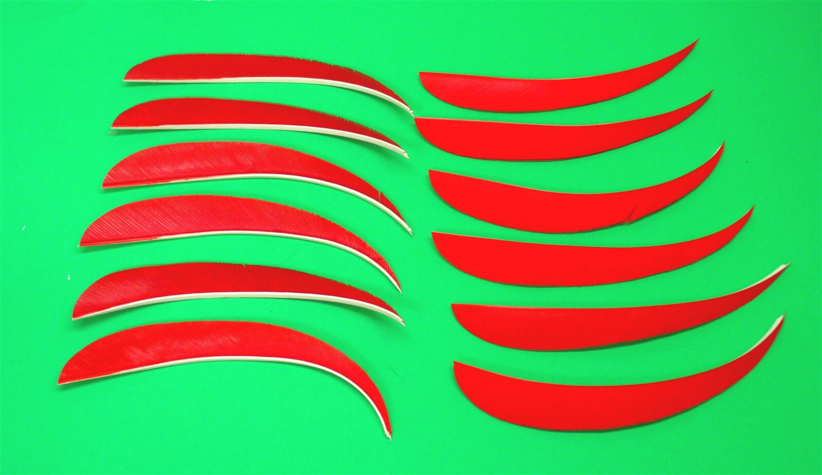 True Flight Feathers - 5" Left Wing Parabolic - Red - New Dozen