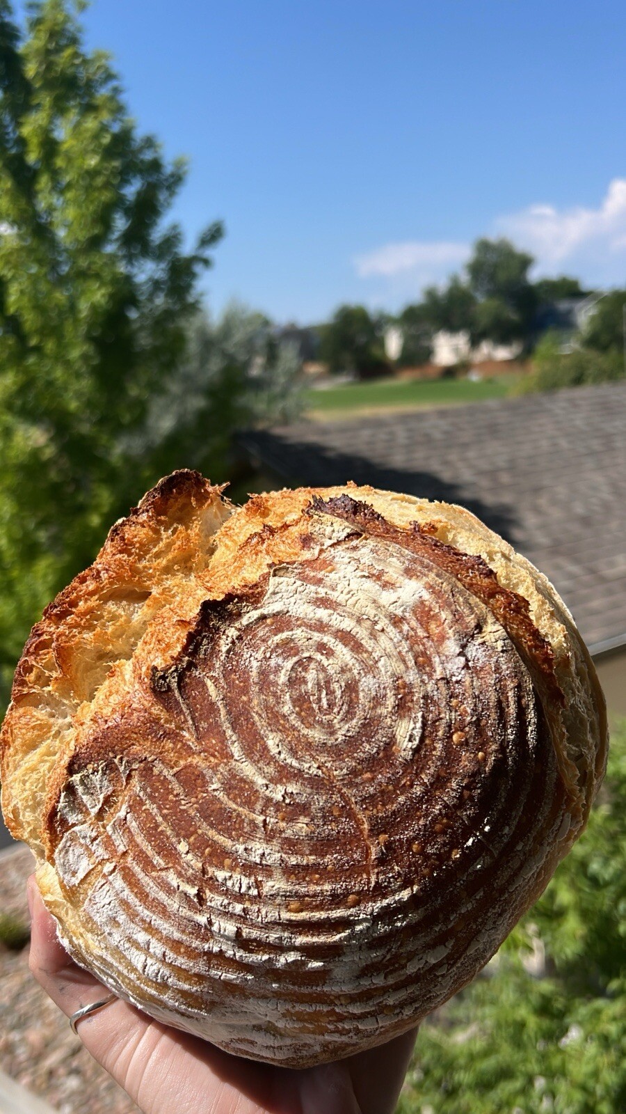 Dehydrated Sourdough Starter