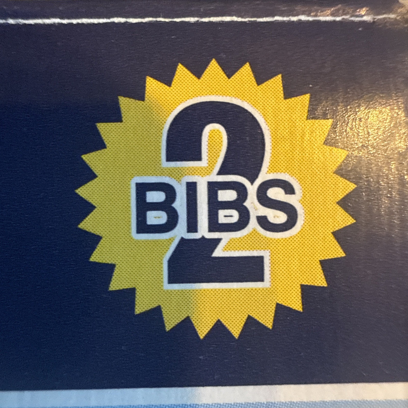 Adult bib with crumb catcher (2 pack)
