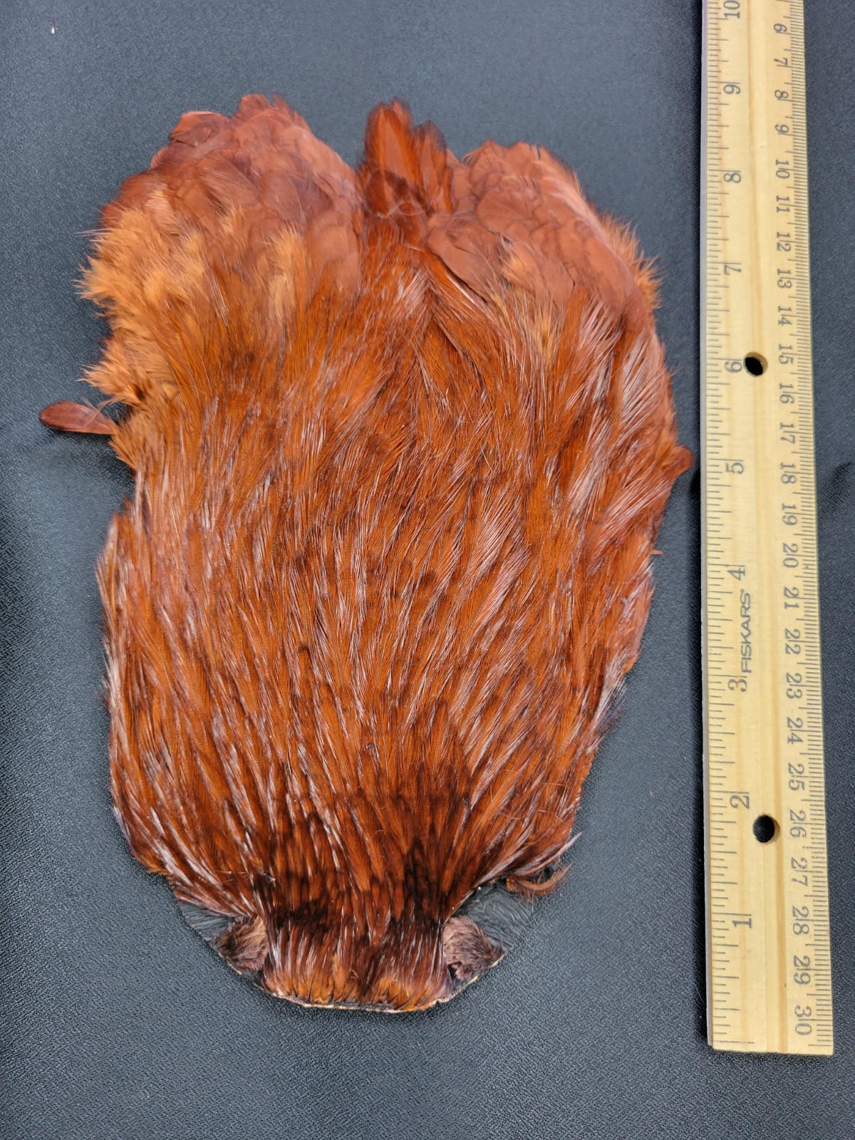 Lot 47,  Top Quality  COACHMAN BROWN India Rooster Streamer Neck Cape Feathers